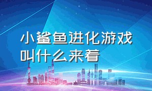 小鲨鱼进化游戏叫什么来着（鲨鱼进化游戏在哪里下载）