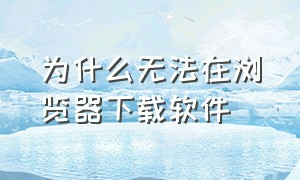 为什么无法在浏览器下载软件