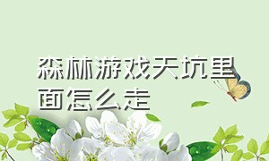 森林游戏天坑里面怎么走（森林游戏怎么从填天坑进入雪山）