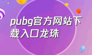 pubg官方网站下载入口龙珠