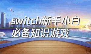 switch新手小白必备知识游戏