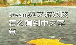 steam英文游戏该怎么调到中文字幕