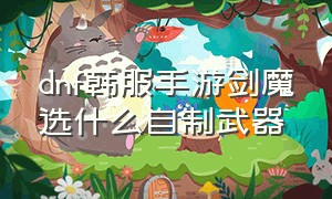 dnf韩服手游剑魔选什么自制武器（dnf韩服手游剑魔选什么自制武器最好）