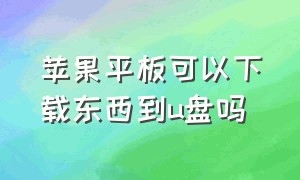 苹果平板可以下载东西到u盘吗