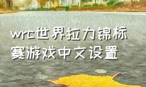 wrc世界拉力锦标赛游戏中文设置