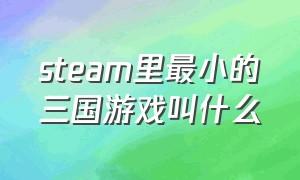 steam里最小的三国游戏叫什么