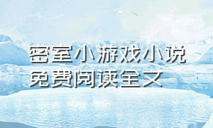 密室小游戏小说免费阅读全文