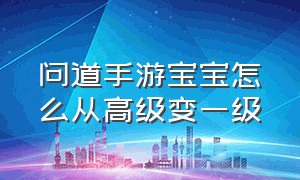 问道手游宝宝怎么从高级变一级