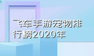 飞车手游宠物排行榜2020年