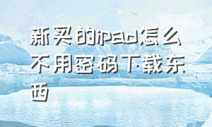 新买的ipad怎么不用密码下载东西