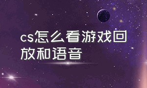 cs怎么看游戏回放和语音