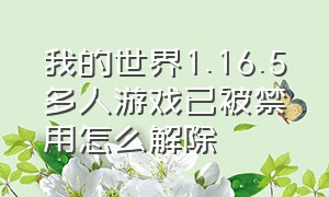 我的世界1.16.5多人游戏已被禁用怎么解除