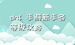 dnf 手游新手各等级攻略（dnf手游平民玩家怎么玩）