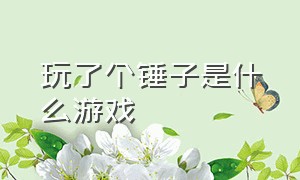 玩了个锤子是什么游戏（玩个锤子是不是骗人的游戏）