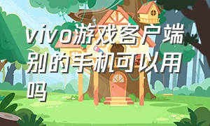 vivo游戏客户端别的手机可以用吗（vivo游戏中心怎么在别的手机上用）