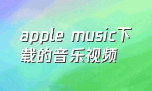 apple music下载的音乐视频