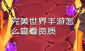 完美世界手游怎么查看资质