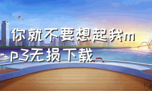 你就不要想起我mp3无损下载