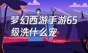 梦幻西游手游65级洗什么宠