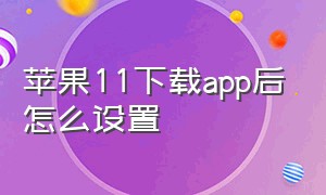 苹果11下载app后怎么设置（苹果11下载app后怎么设置面容解锁）