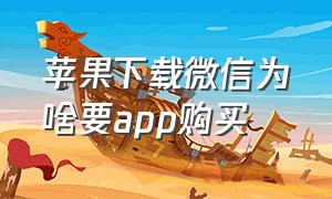 苹果下载微信为啥要app购买