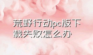 荒野行动pc版下载失败怎么办（荒野行动pc版官网下载不了）