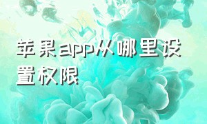 苹果app从哪里设置权限