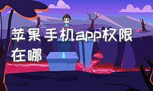 苹果手机app权限在哪（苹果手机app权限在哪里设置）