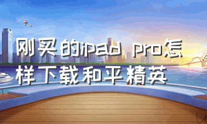 刚买的ipad pro怎样下载和平精英