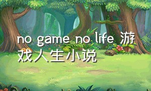 no game no life 游戏人生小说