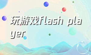 玩游戏flash player