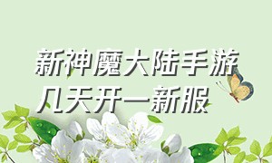 新神魔大陆手游几天开一新服