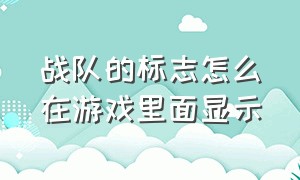 战队的标志怎么在游戏里面显示