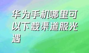 华为手机哪里可以下载渠道服光遇