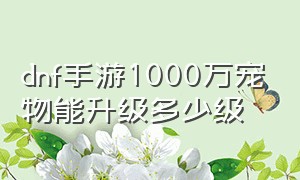 dnf手游1000万宠物能升级多少级