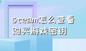 steam怎么查看购买游戏密钥（steam怎么玩18+游戏）