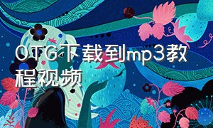 OTG下载到mp3教程视频（otg怎么把音乐下载到mp3）