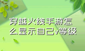 穿越火线手游怎么显示自己v等级