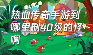 热血传奇手游到哪里刷40级的怪啊