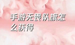 手游无畏队旗怎么获得