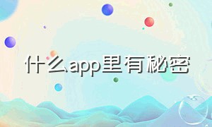 什么app里有秘密（带秘密的app）