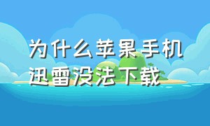 为什么苹果手机迅雷没法下载