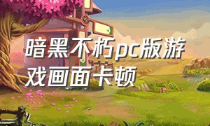 暗黑不朽pc版游戏画面卡顿