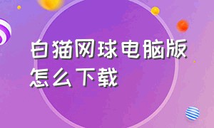 白猫网球电脑版怎么下载（白猫网球电脑版怎么下载不了）