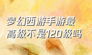 梦幻西游手游最高级不是120级吗（梦幻西游手游等级为什么要69级）