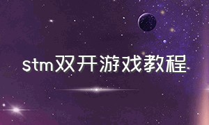 stm双开游戏教程