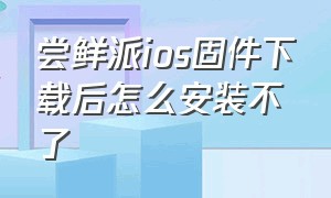 尝鲜派ios固件下载后怎么安装不了