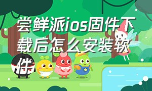 尝鲜派ios固件下载后怎么安装软件