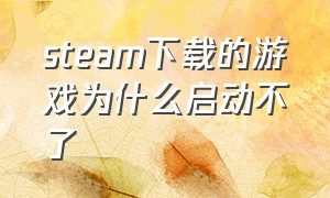 steam下载的游戏为什么启动不了