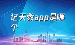 记天数app是哪个（手机个人记天数app）